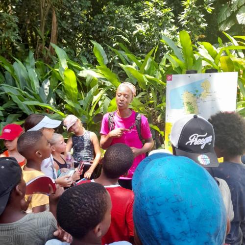 Visite de scolaires à la Maison de la forêt