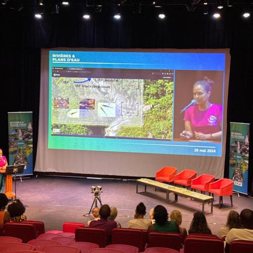 Séminaire "Rivières et plans d'eau de Guadeloupe", mai 2024 @PNG