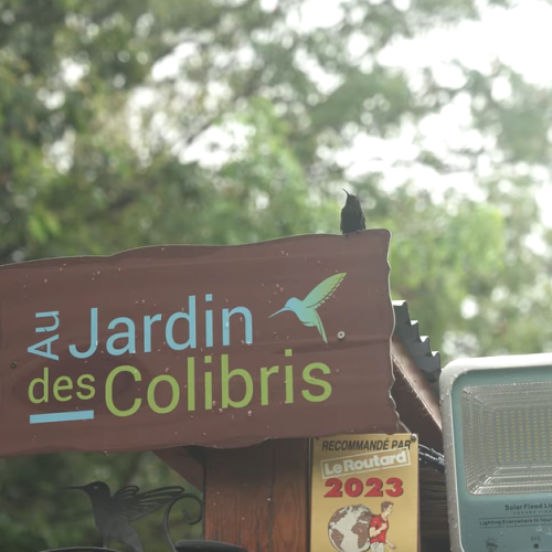 Au Jardin des Colibris 