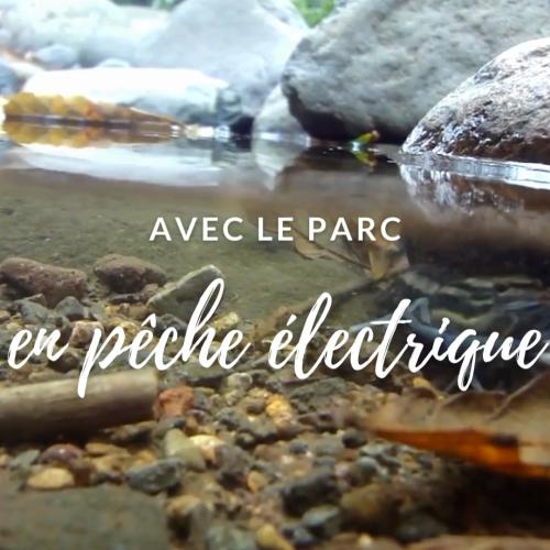 Pêche électrique avec Marie Robert. 