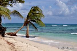 plage_des_raisins_clairs_saint_francois-91937.jpg